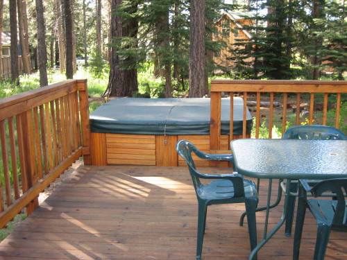 backyard_0406_1.JPG
